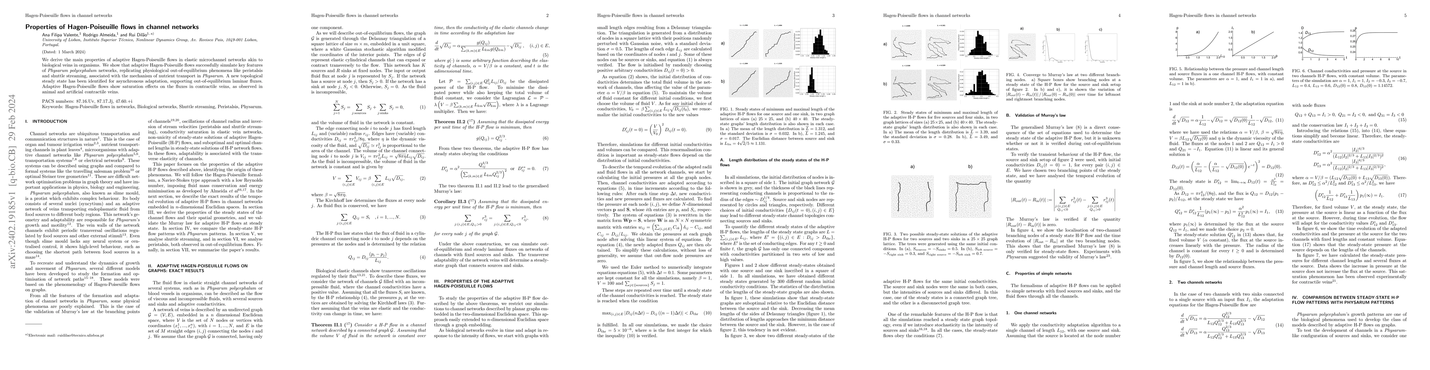 Thumbnail for Properties of Hagen-Poiseuille flows in channel networks