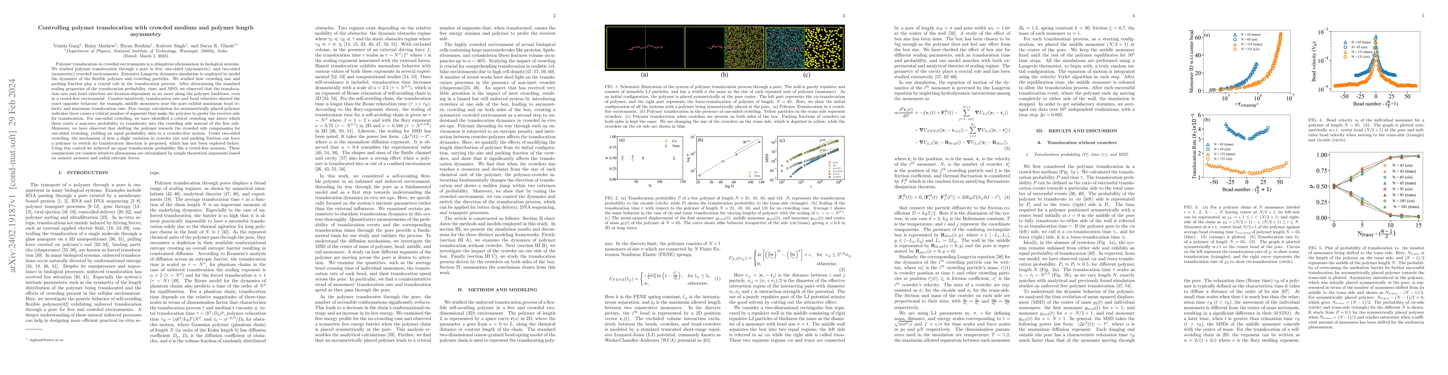 Thumbnail for Controlling polymer translocation with crowded medium and polymer length
  asymmetry