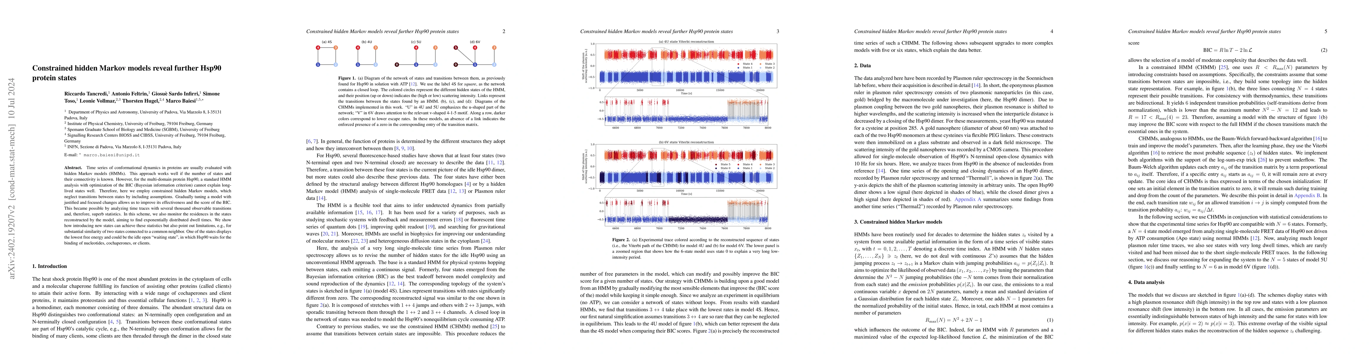 Thumbnail for Constrained hidden Markov models reveal further Hsp90 protein states