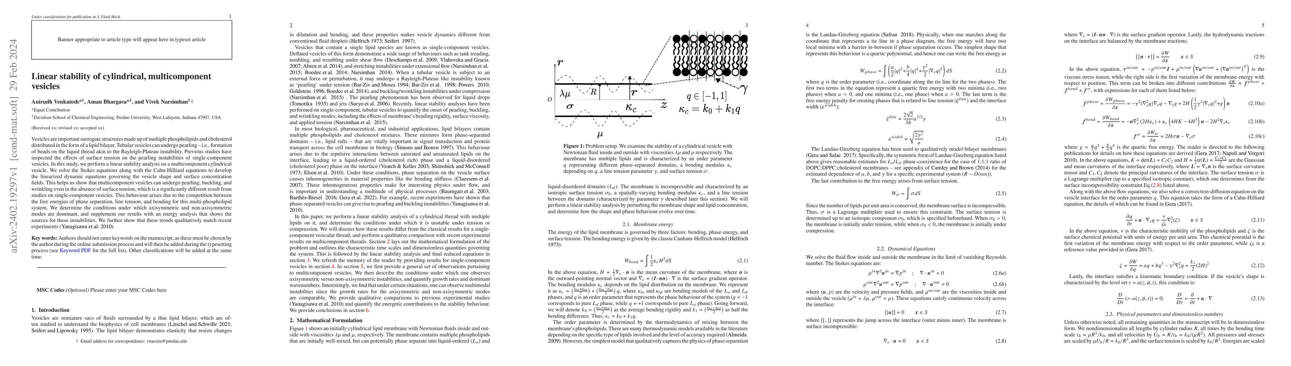 Thumbnail for Linear stability of cylindrical, multicomponent vesicles