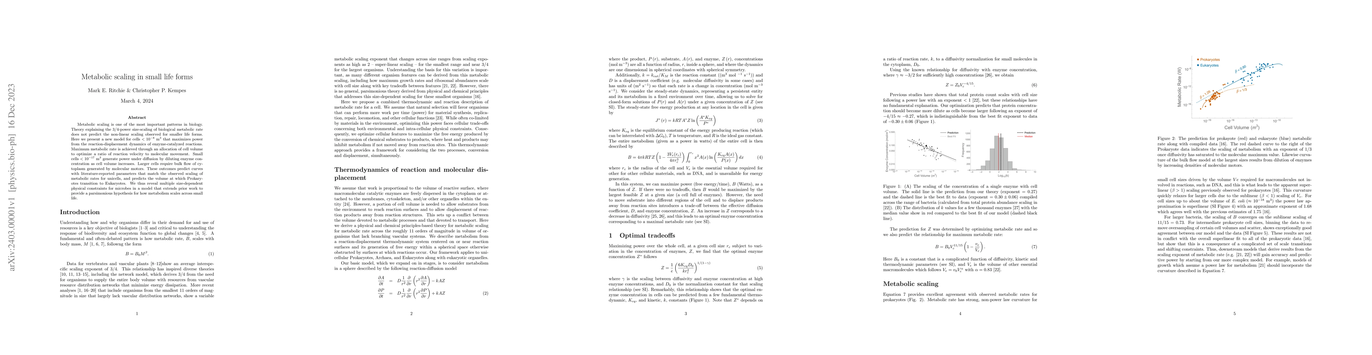 Thumbnail for Metabolic scaling in small life forms