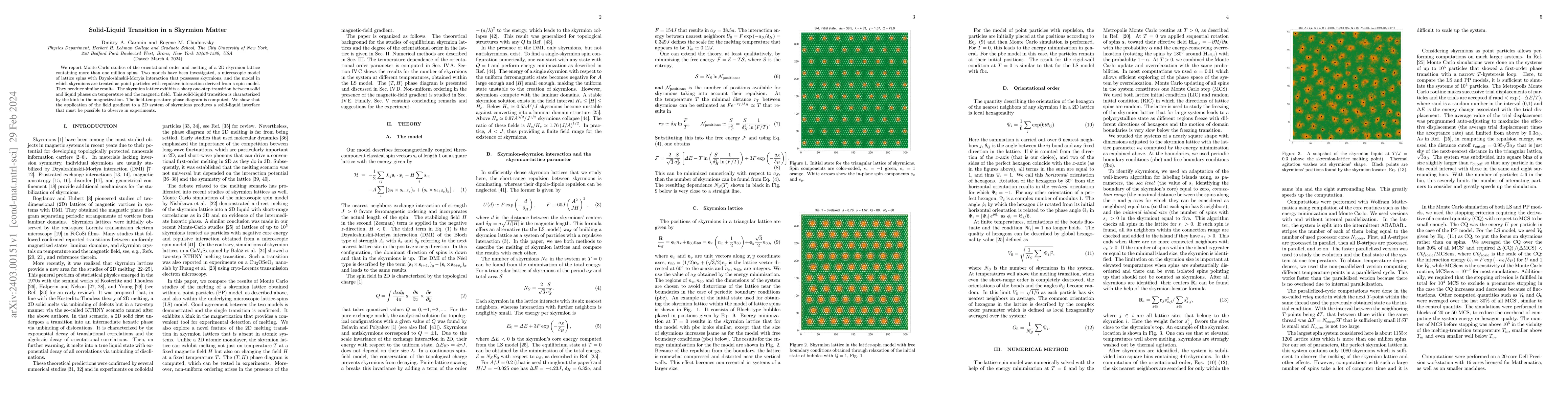 Thumbnail for Solid-Liquid Transition in a Skyrmion Matter