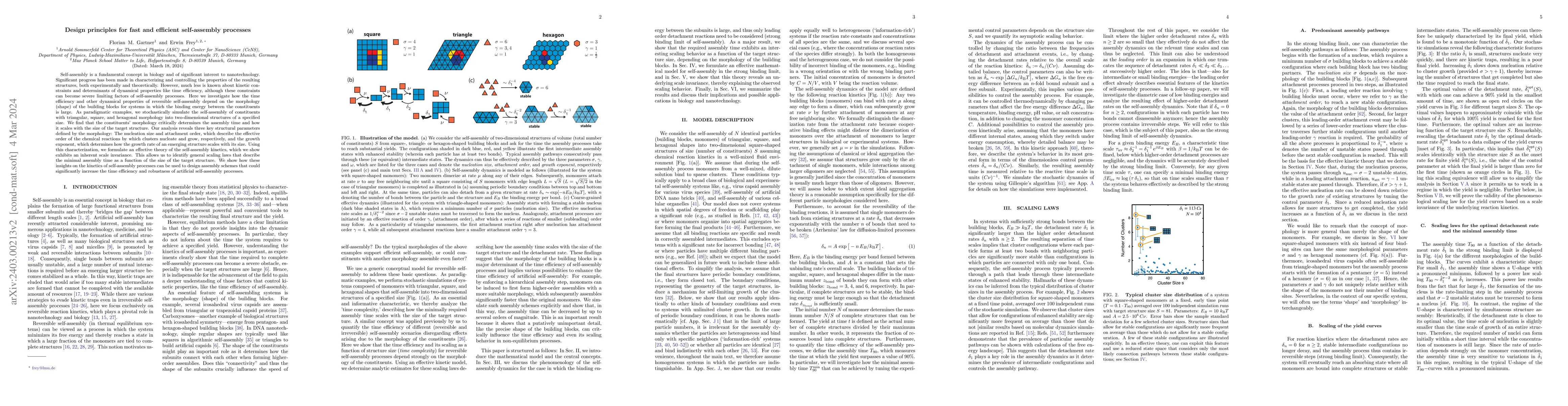 Thumbnail for Design principles for fast and efficient self-assembly processes