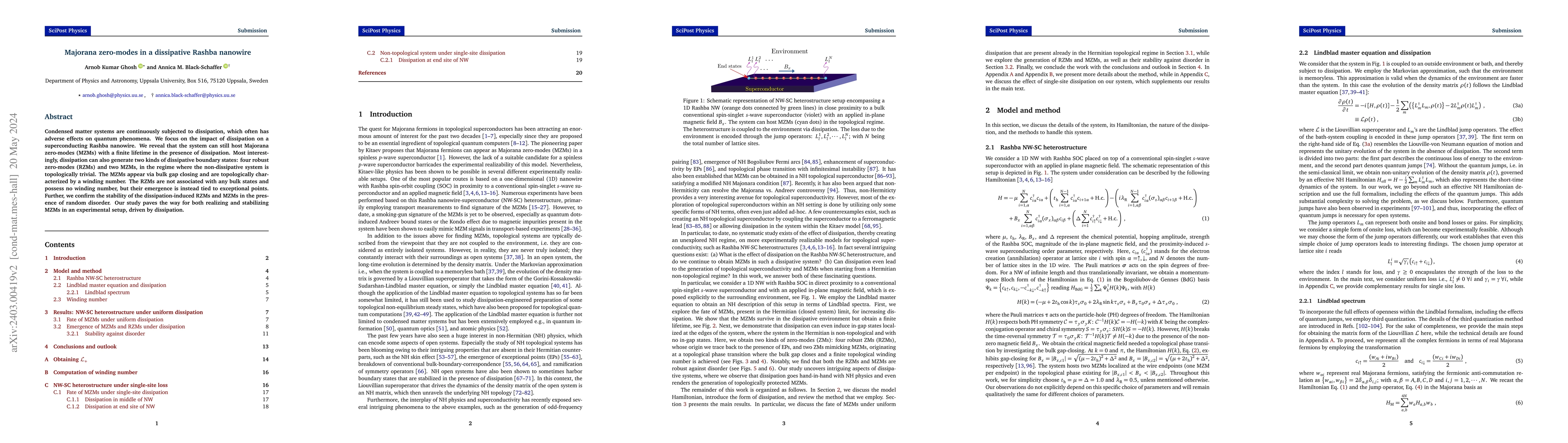 Thumbnail for Majorana zero-modes in a dissipative Rashba nanowire