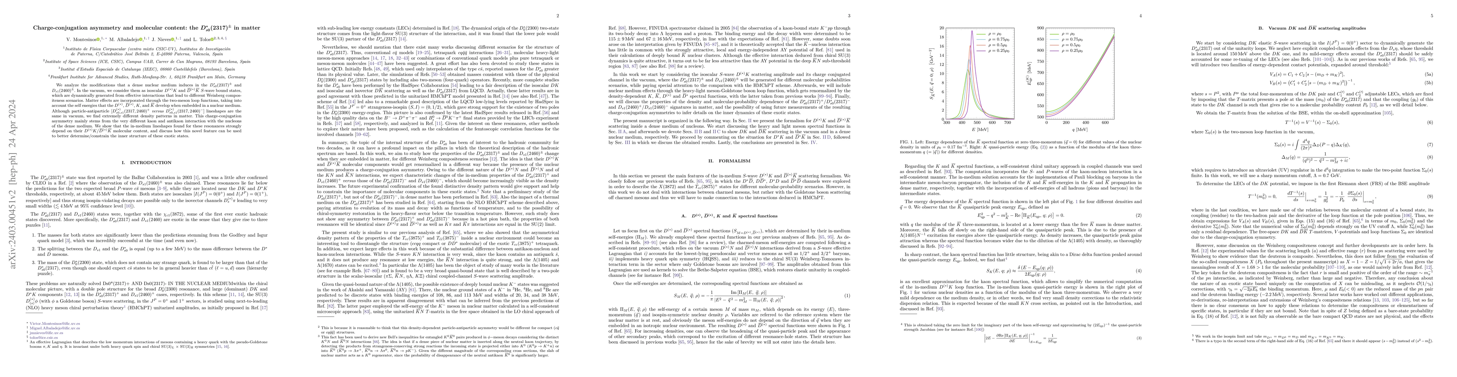Thumbnail for Charge-conjugation asymmetry and molecular content: the
  $D_{s0}^\ast(2317)^\pm$ in matter