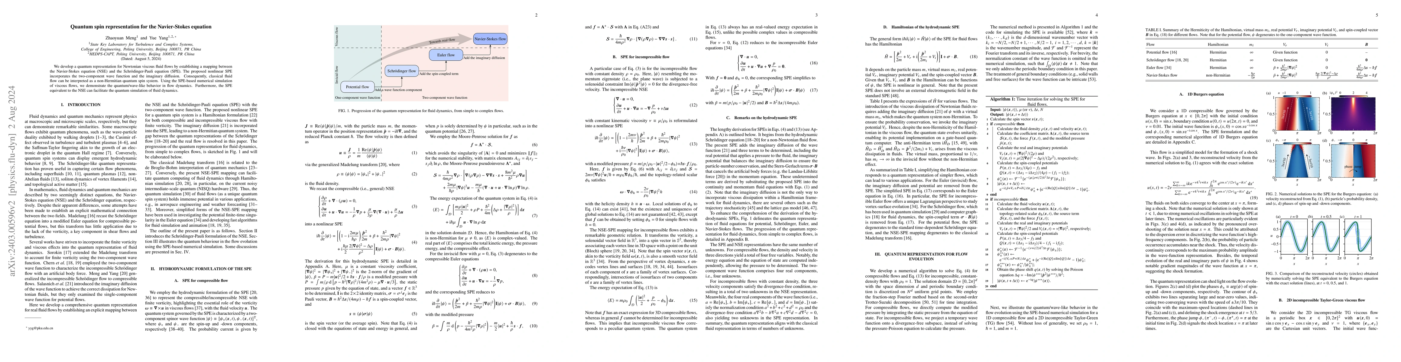 Thumbnail for Quantum spin representation for the Navier-Stokes equation
