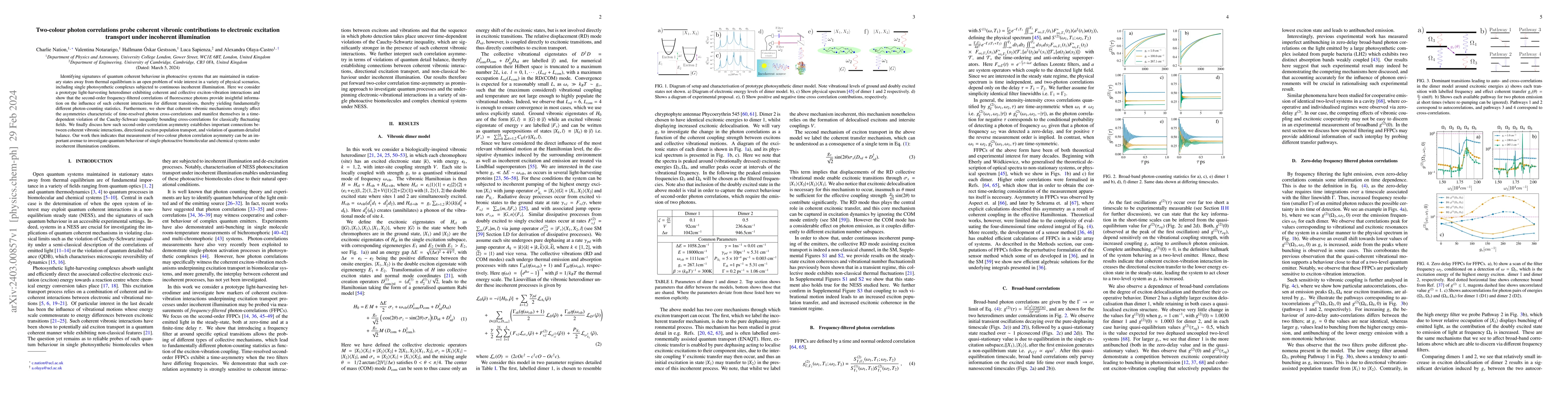 Thumbnail for Two-colour photon correlations probe coherent vibronic contributions to
  electronic excitation transport under incoherent illumination