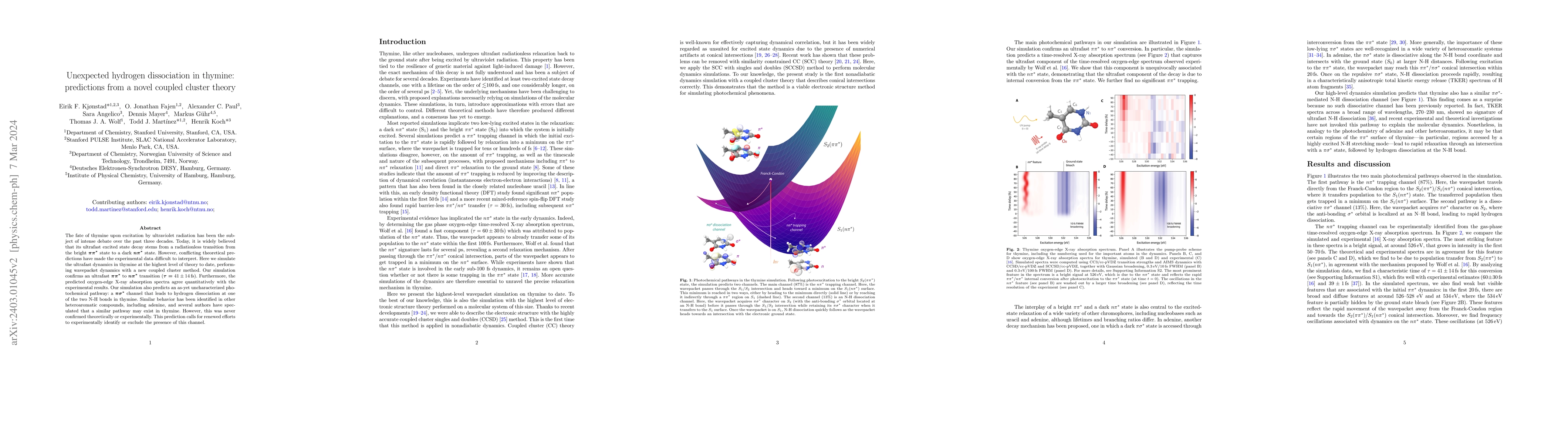 Thumbnail for Unexpected hydrogen dissociation in thymine: predictions from a novel
  coupled cluster theory