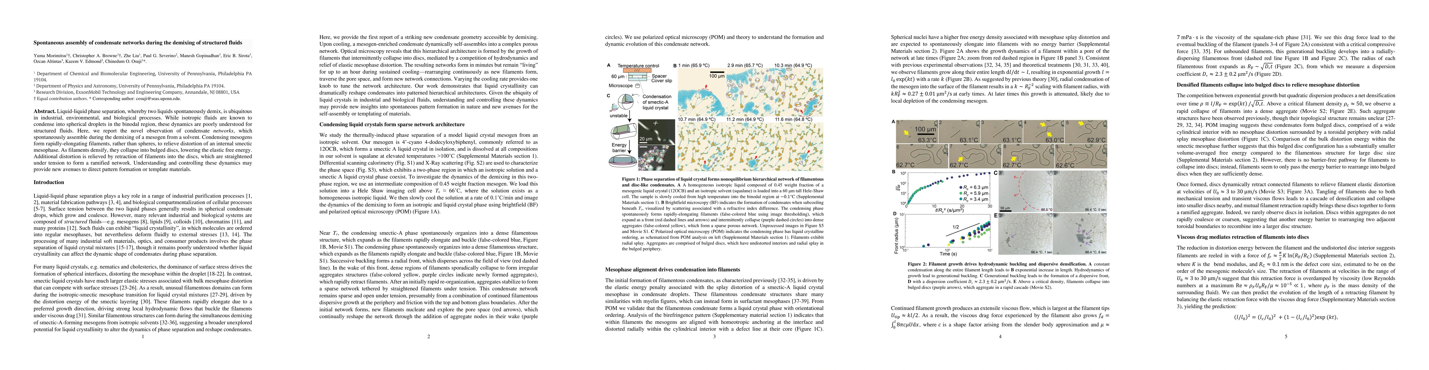 Thumbnail for Spontaneous assembly of condensate networks during the demixing of
  structured fluids
