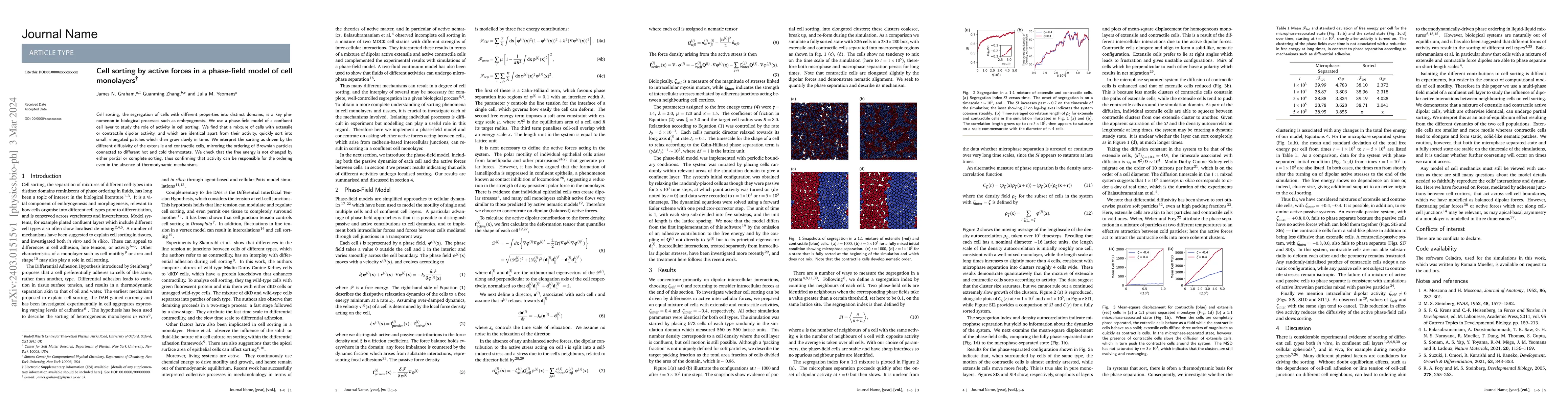 Thumbnail for Cell sorting by active forces in a phase-field model of cell monolayers