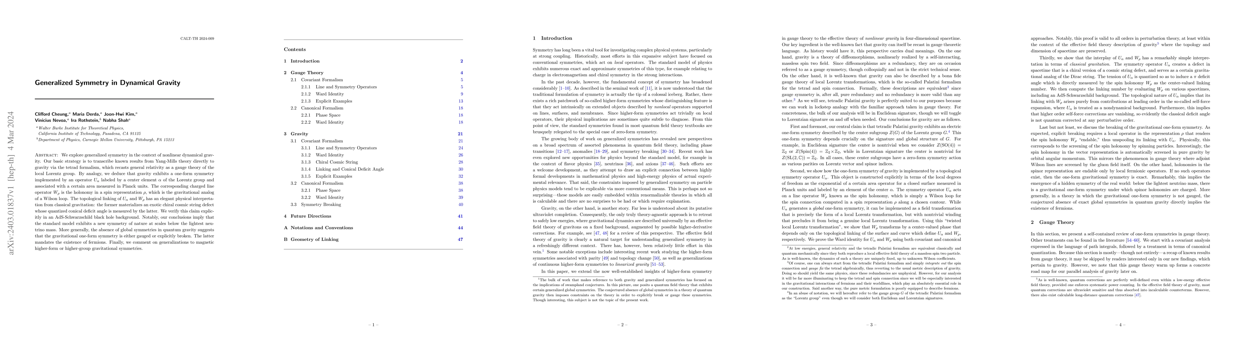 Thumbnail for Generalized Symmetry in Dynamical Gravity