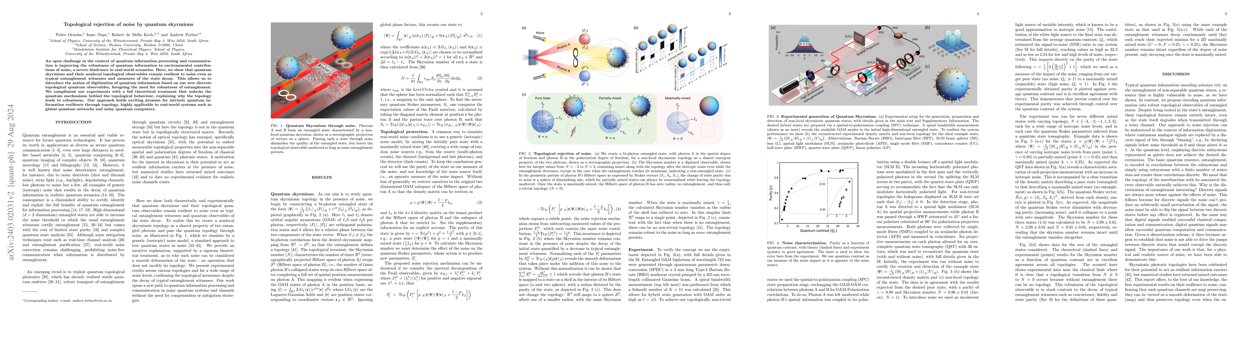 Thumbnail for Topological rejection of noise by non-local quantum skyrmions