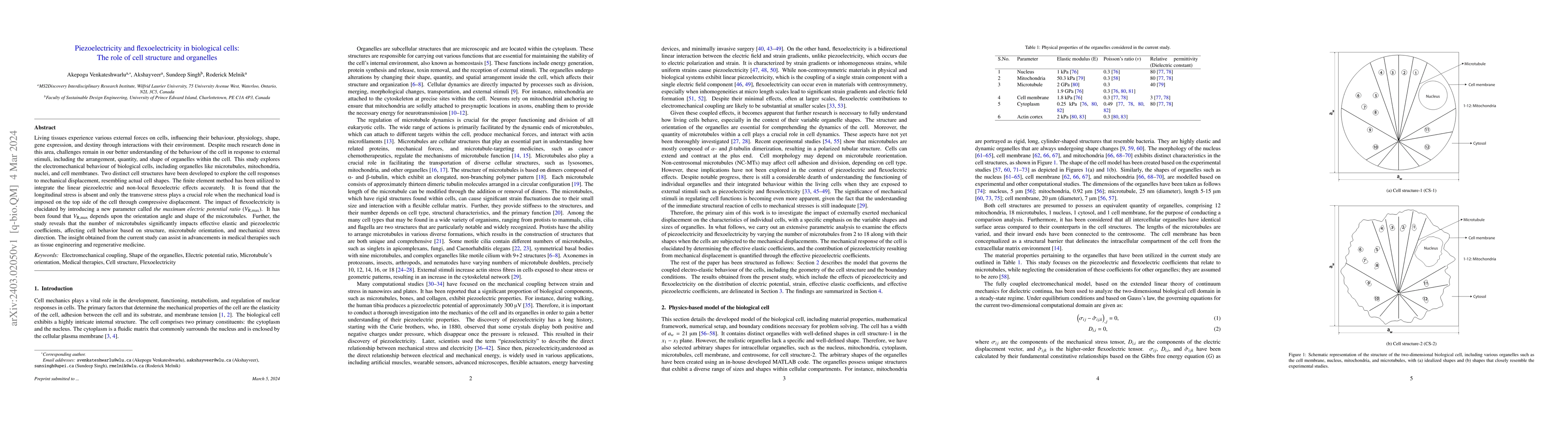 Thumbnail for Piezoelectricity and flexoelectricity in biological cells: The role of
  cell structure and organelles