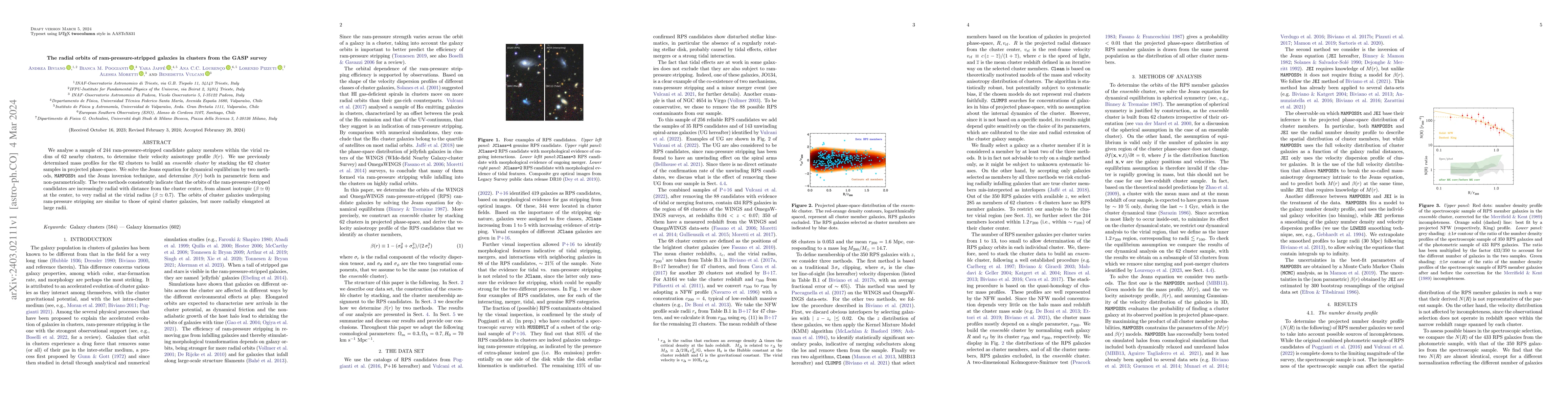Thumbnail for The radial orbits of ram-pressure-stripped galaxies in clusters from the
  GASP survey