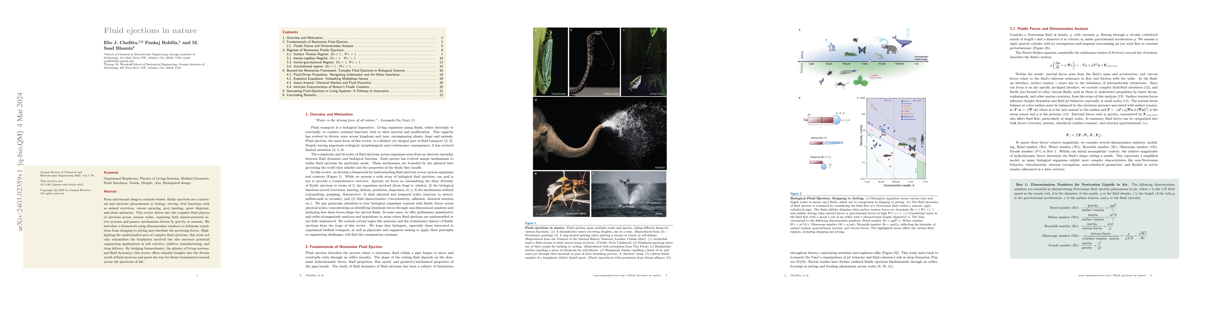 Thumbnail for Fluid ejections in nature