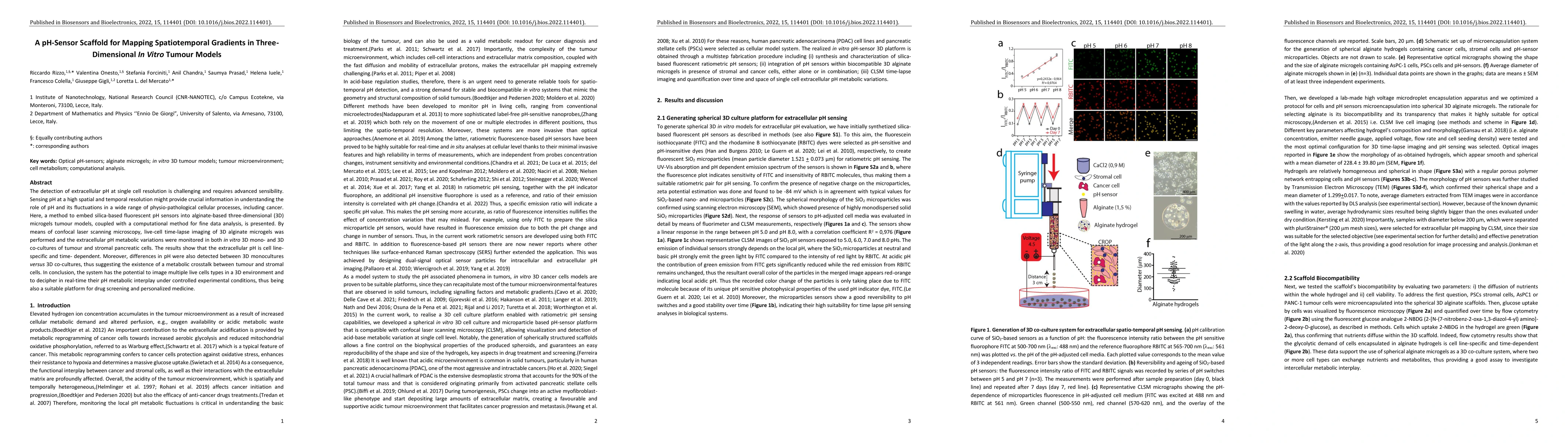 Thumbnail for A pH Sensor Scaffold for Mapping Spatiotemporal Gradients in Three
  Dimensional In Vitro Tumour Models