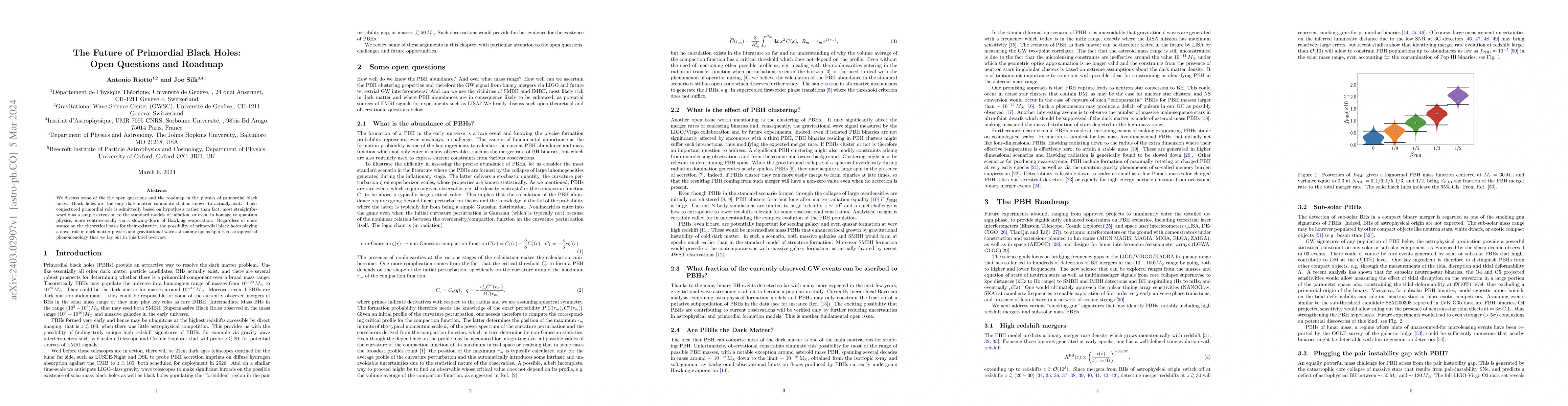Thumbnail for The Future of Primordial Black Holes: Open Questions and Roadmap