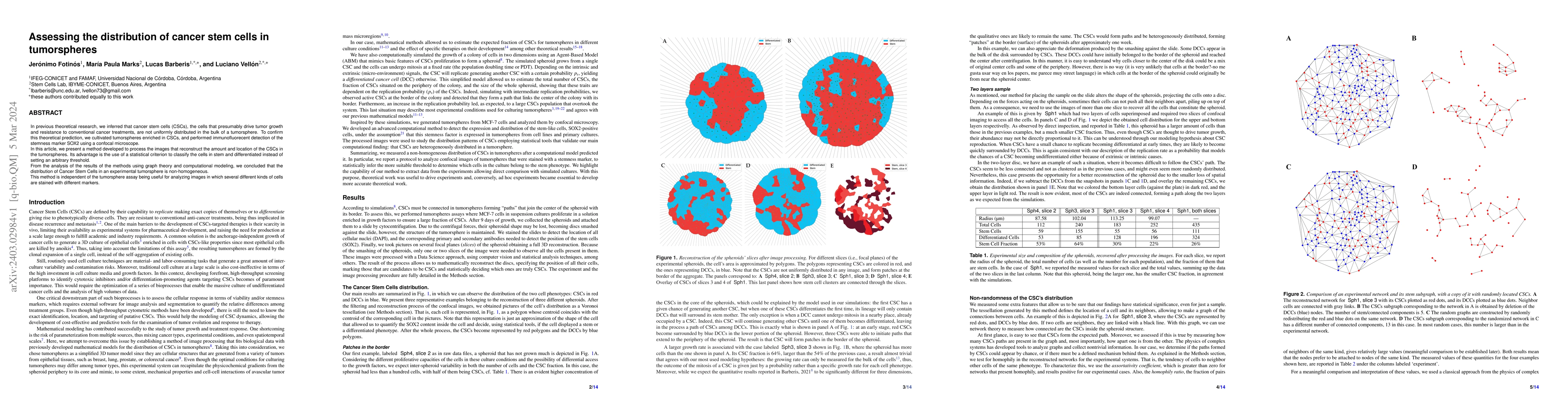 Thumbnail for Assessing the distribution of cancer stem cells in tumorspheres