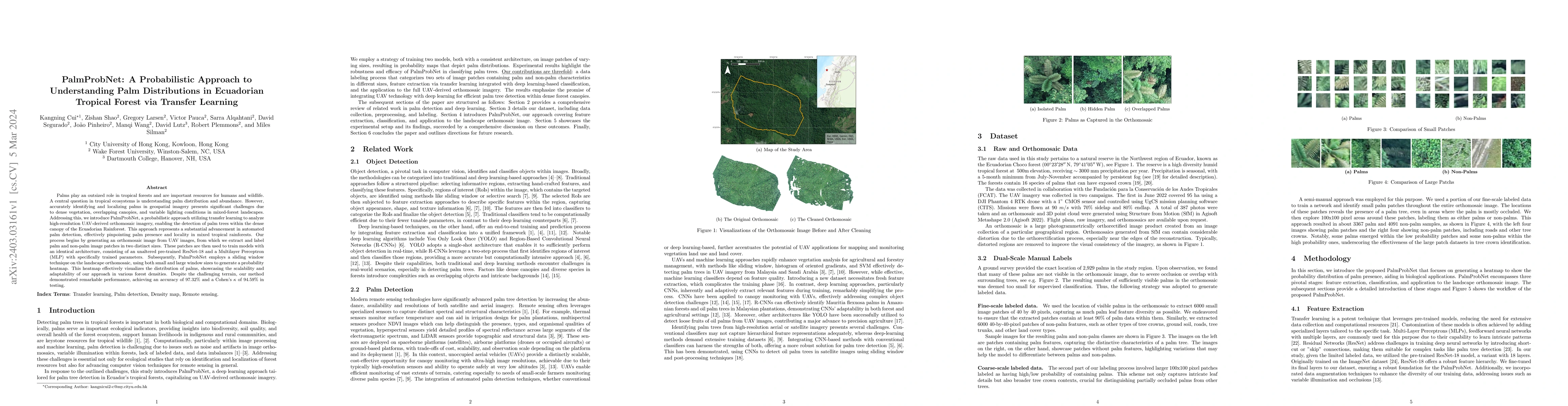 Thumbnail for PalmProbNet: A Probabilistic Approach to Understanding Palm
  Distributions in Ecuadorian Tropical Forest via Transfer Learning