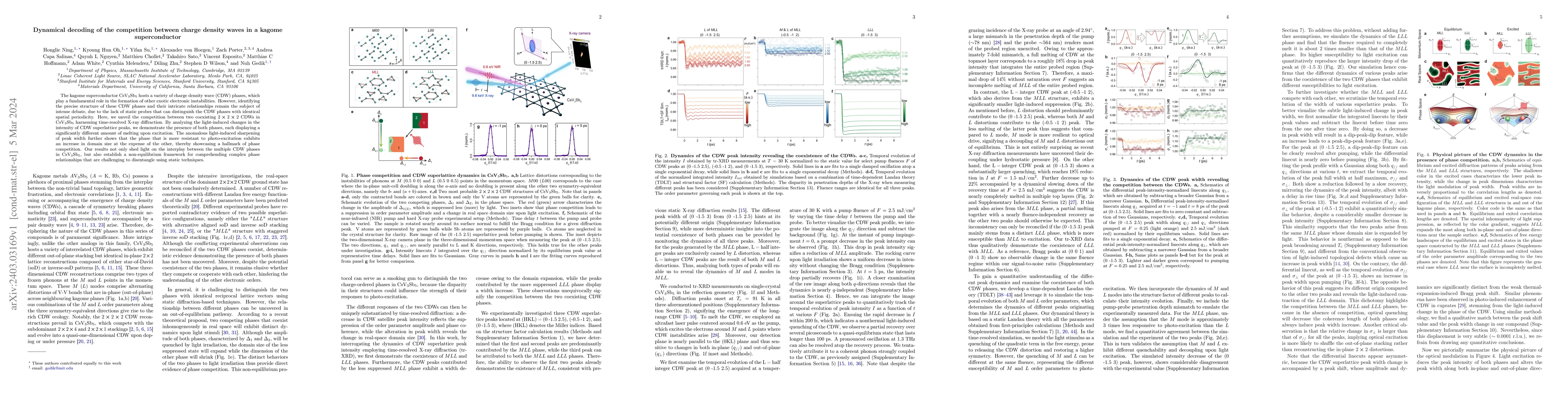 Thumbnail for Dynamical decoding of the competition between charge density waves in a
  kagome superconductor