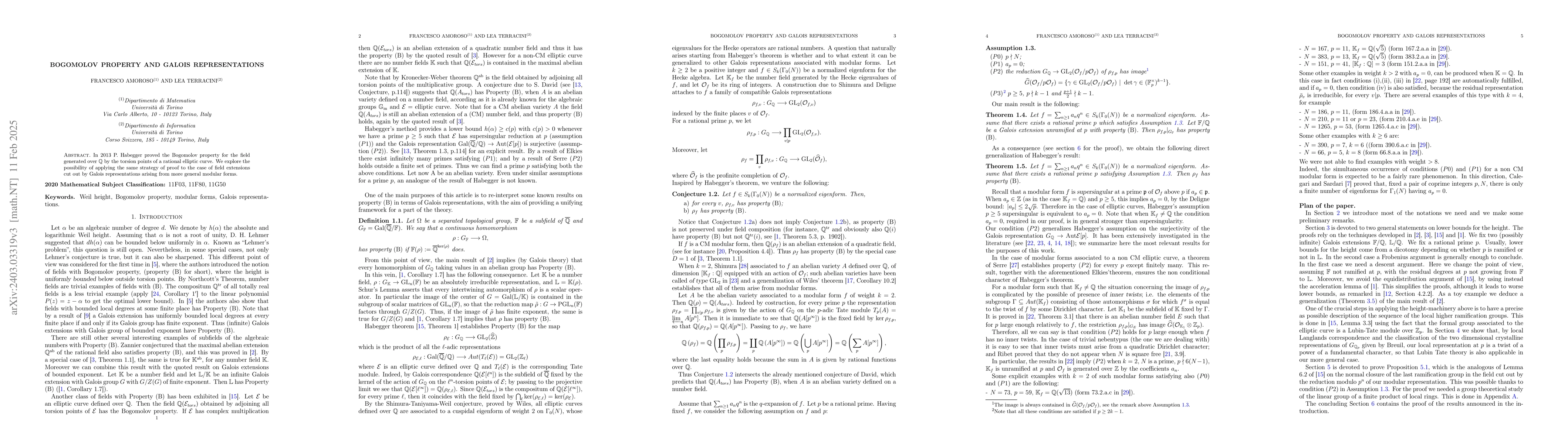 Thumbnail for Bogomolov property and Galois representations