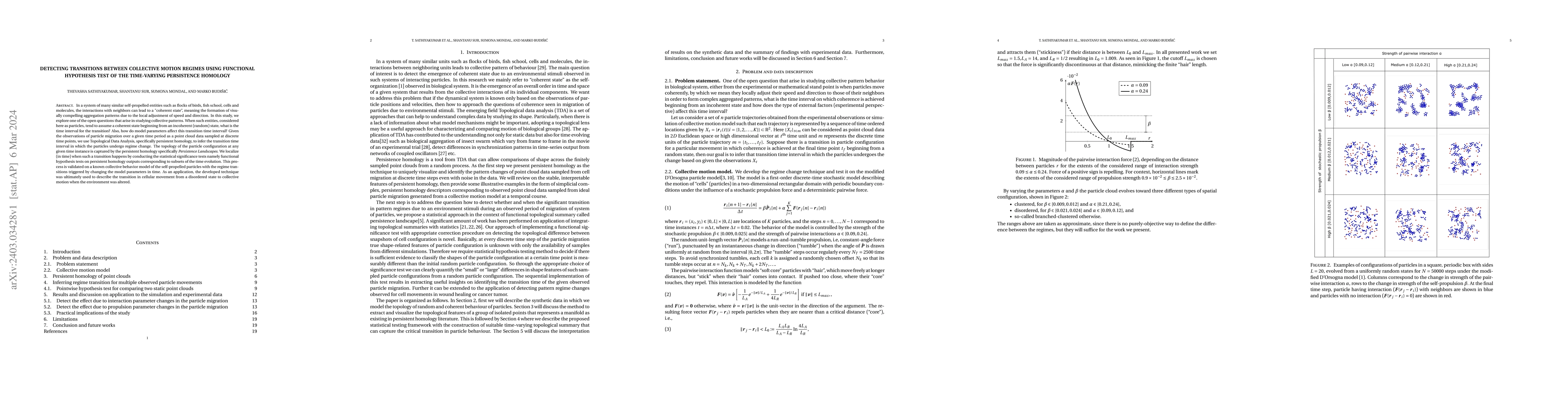 Thumbnail for Detecting transitions between collective motion regimes using functional
  hypothesis test of the time-varying persistence homology