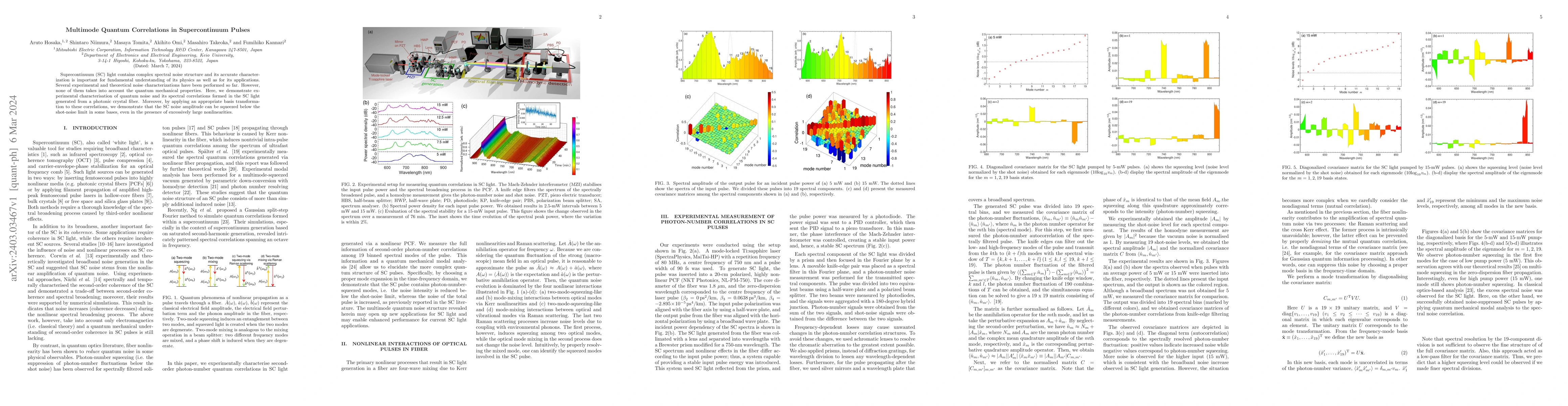 Thumbnail for Multimode Quantum Correlations in Supercontinuum Pulses