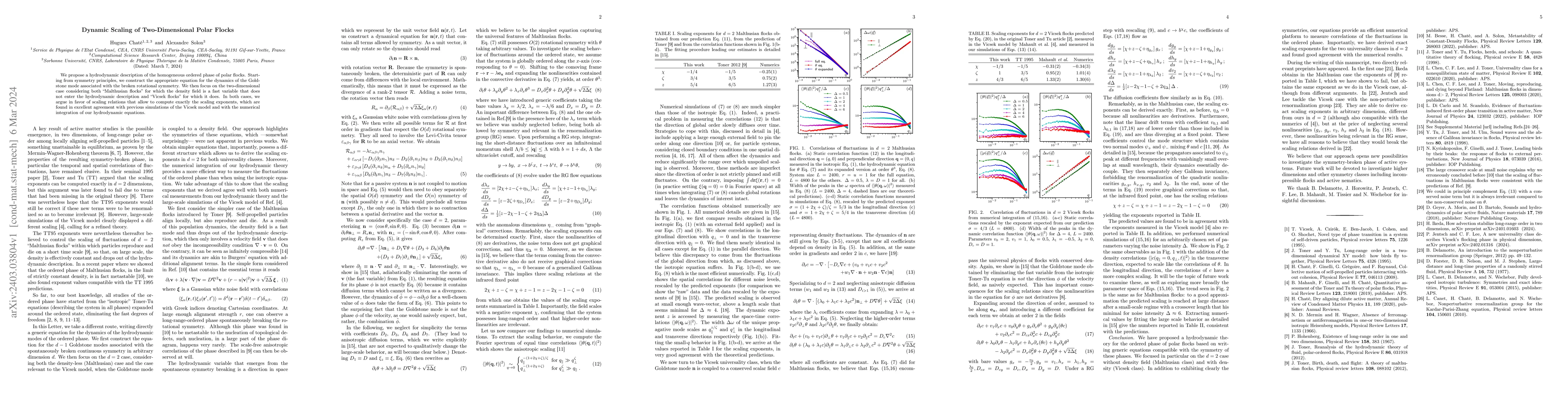 Thumbnail for Dynamic Scaling of Two-Dimensional Polar Flocks