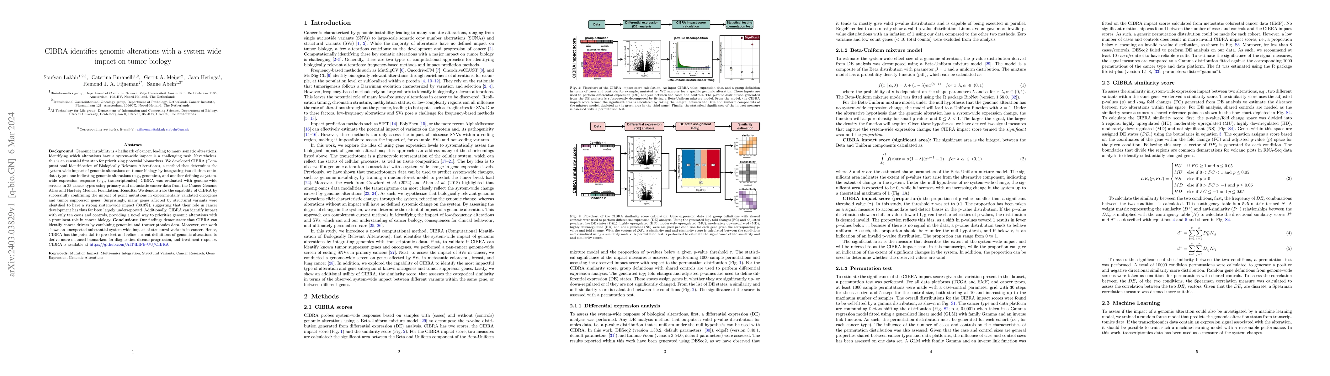 Thumbnail for CIBRA identifies genomic alterations with a system-wide impact on tumor
  biology
