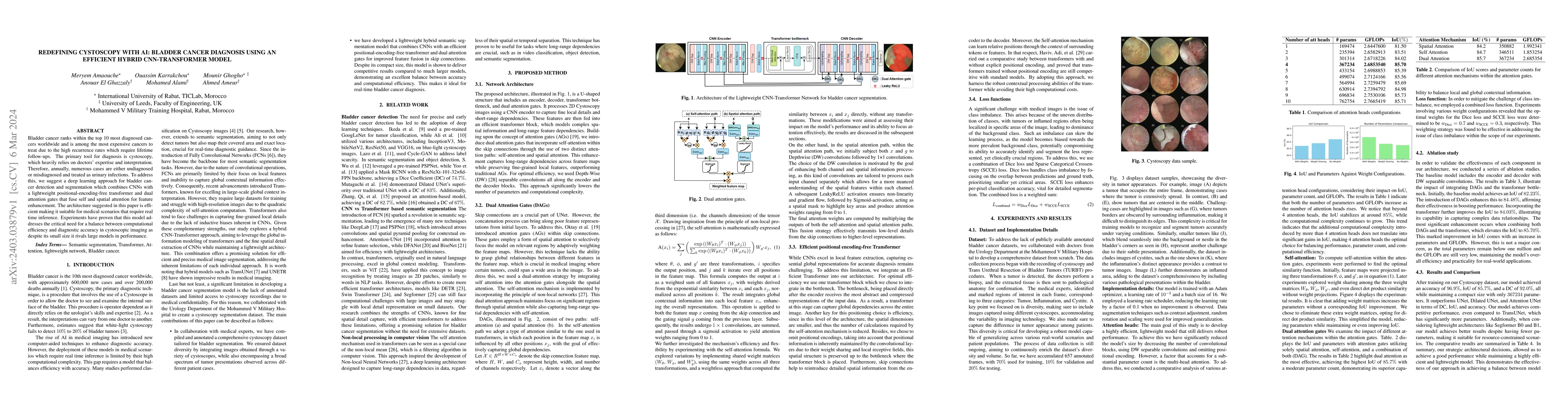 Thumbnail for Redefining cystoscopy with ai: bladder cancer diagnosis using an
  efficient hybrid cnn-transformer model