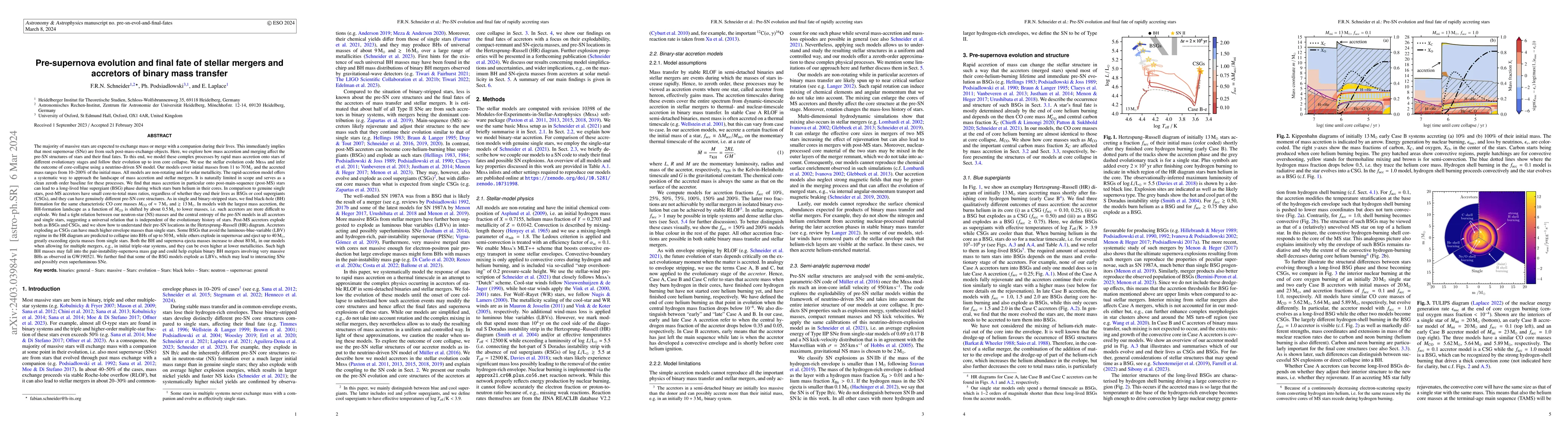 Thumbnail for Pre-supernova evolution and final fate of stellar mergers and accretors
  of binary mass transfer