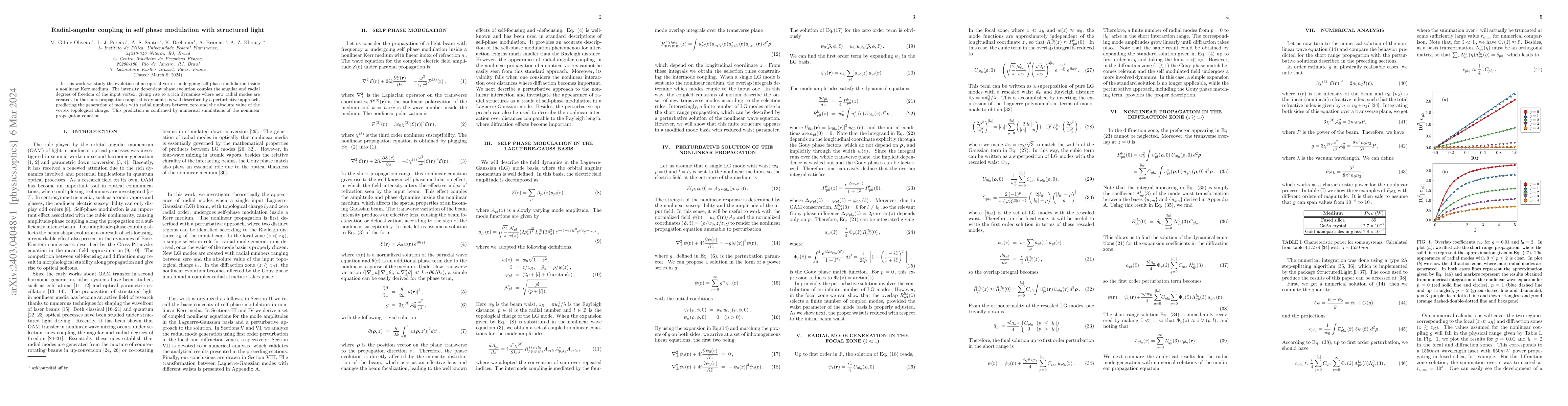Thumbnail for Radial-angular coupling in self phase modulation with structured light