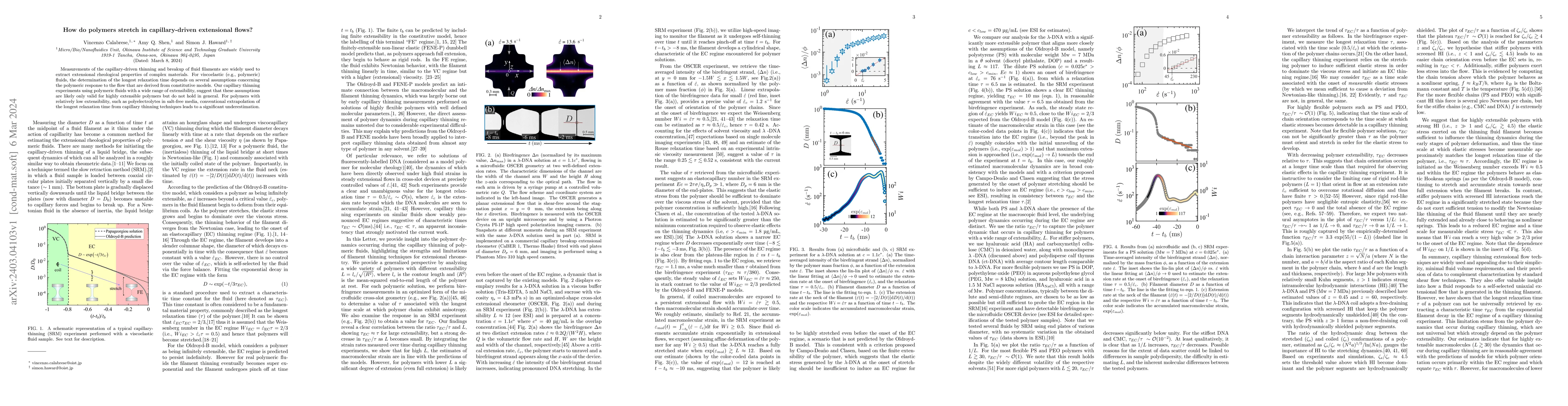 Thumbnail for How do polymers stretch in capillary-driven extensional flows?