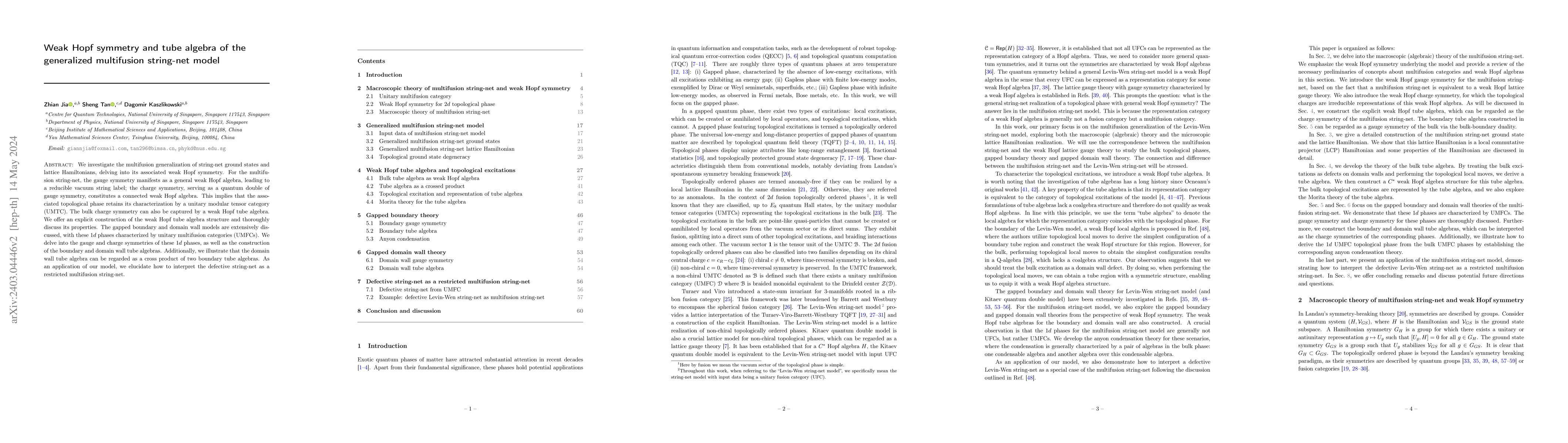 Thumbnail for Weak Hopf symmetry and tube algebra of the generalized multifusion
  string-net model