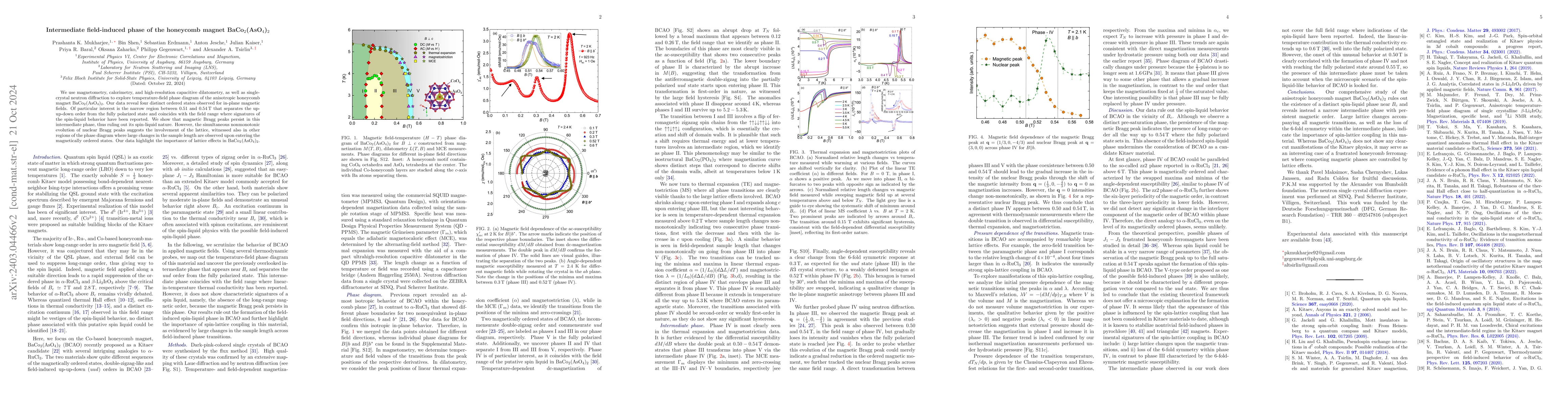 Thumbnail for Intermediate field-induced phase of the honeycomb magnet
  BaCo$_2$(AsO$_4$)$_2$