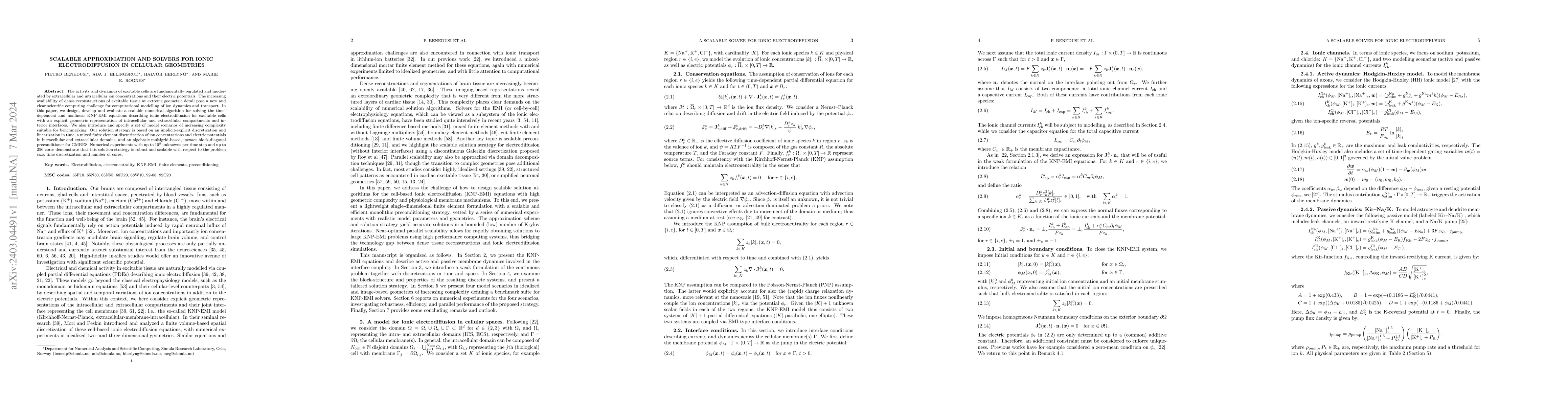 Thumbnail for Scalable approximation and solvers for ionic electrodiffusion in
  cellular geometries