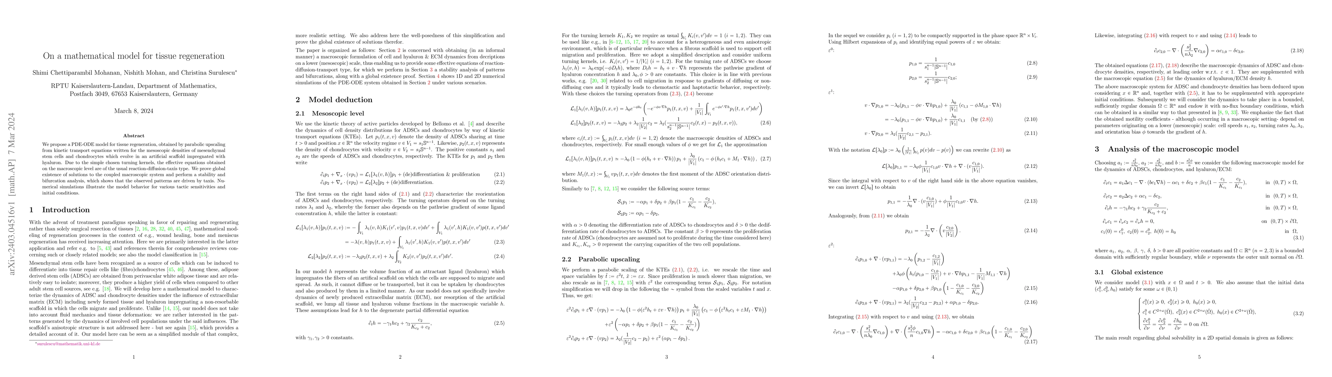 Thumbnail for On a mathematical model for tissue regeneration
