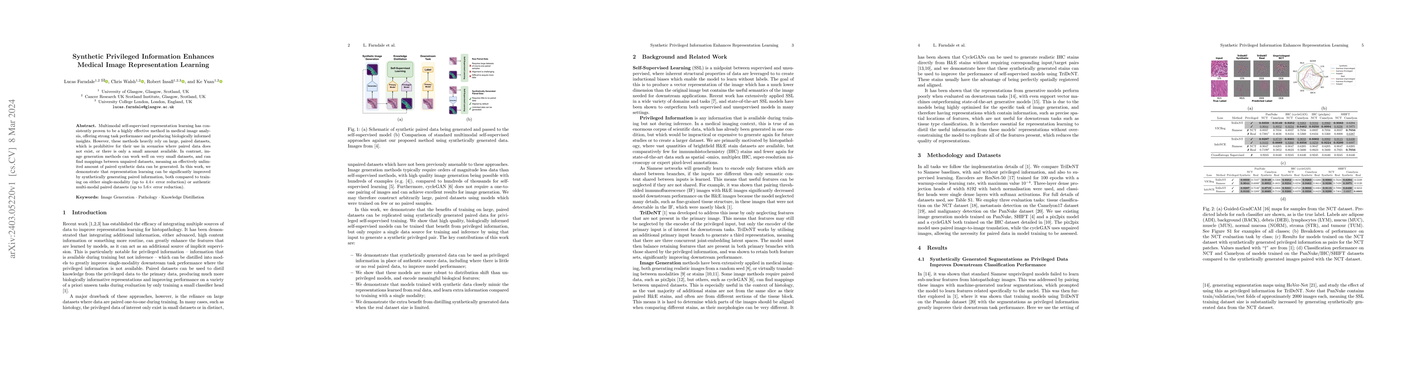 Thumbnail for Synthetic Privileged Information Enhances Medical Image Representation
  Learning