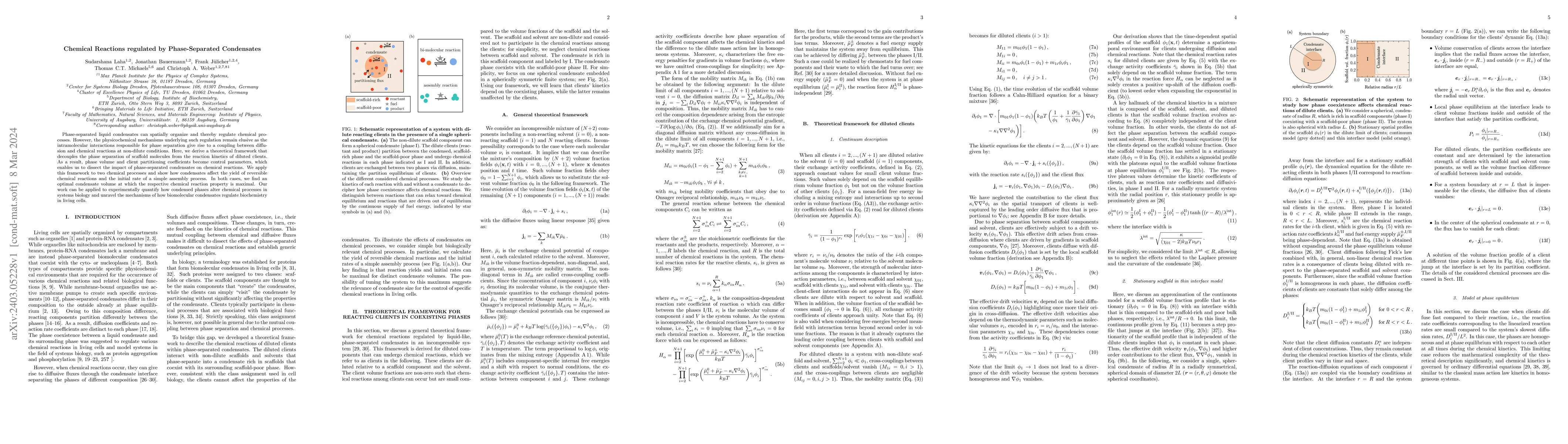 Thumbnail for Chemical Reactions regulated by Phase-Separated Condensates