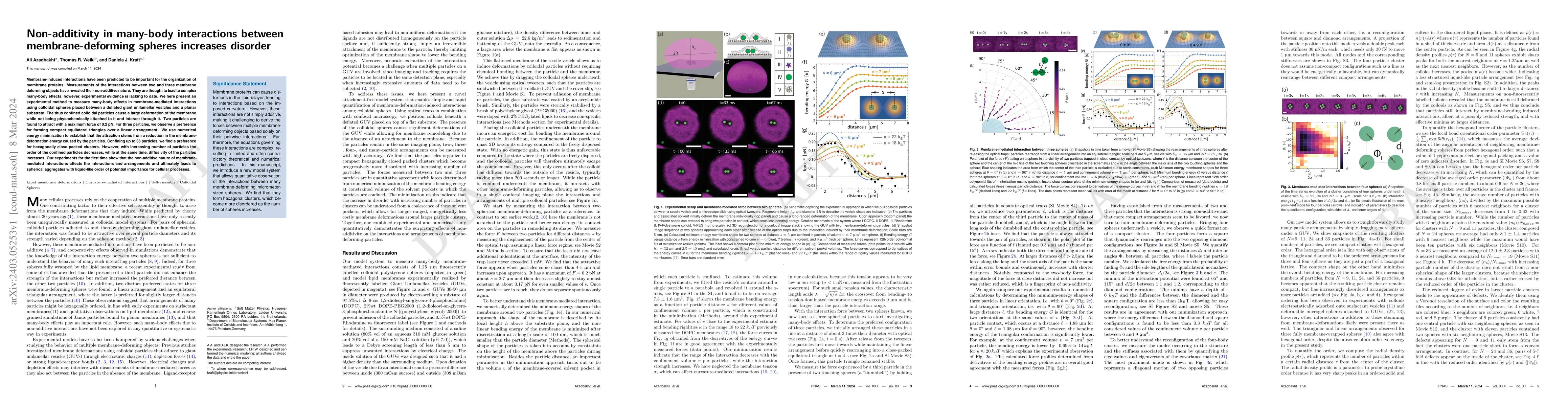 Thumbnail for Non-additivity in many-body interactions between membrane-deforming
  spheres increases disorder