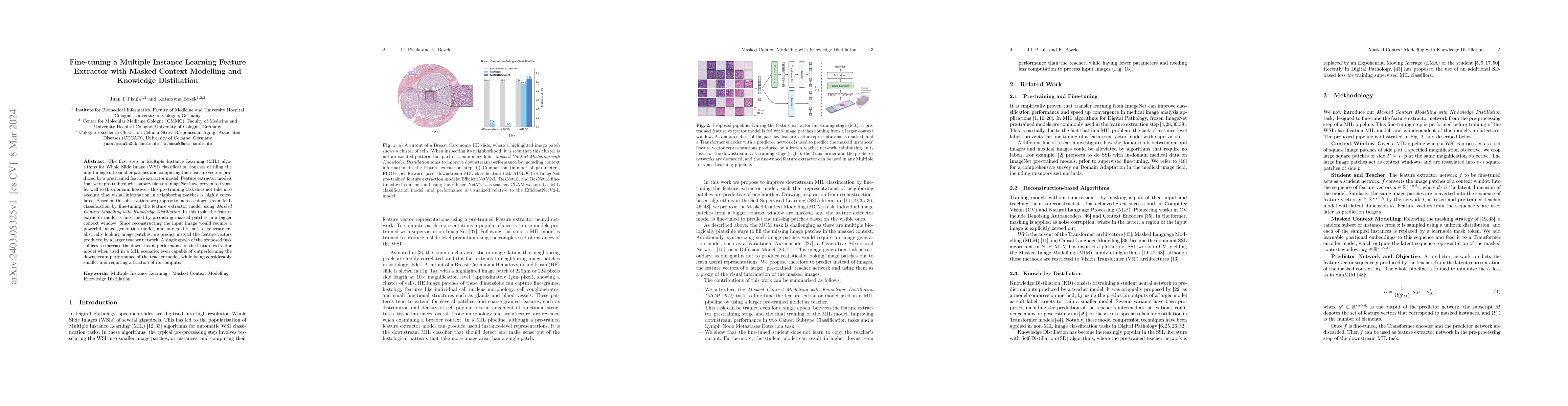 Thumbnail for Fine-tuning a Multiple Instance Learning Feature Extractor with Masked
  Context Modelling and Knowledge Distillation