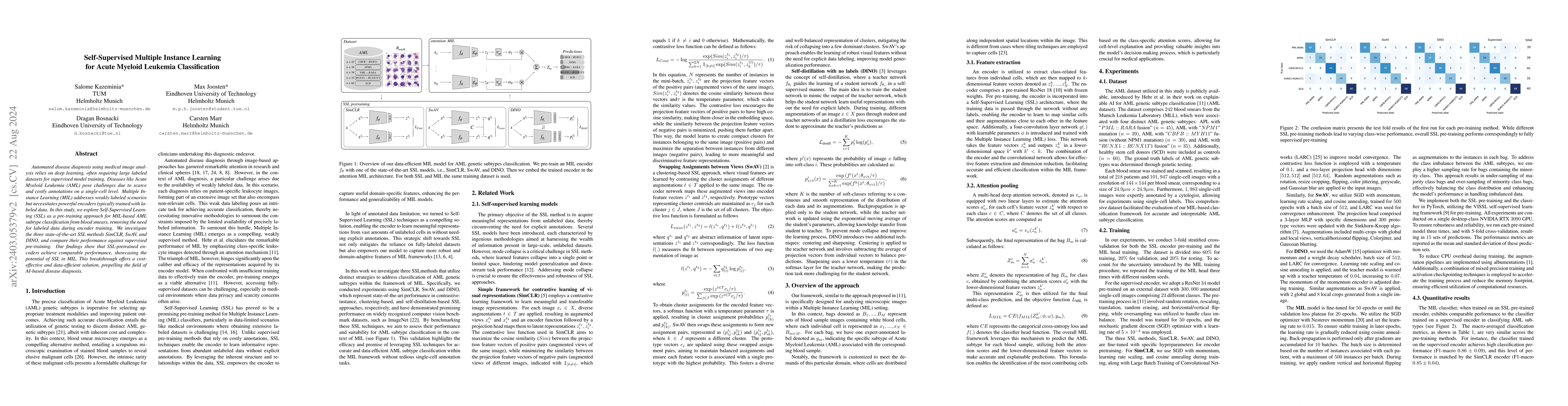 Thumbnail for Self-Supervised Multiple Instance Learning for Acute Myeloid Leukemia
  Classification