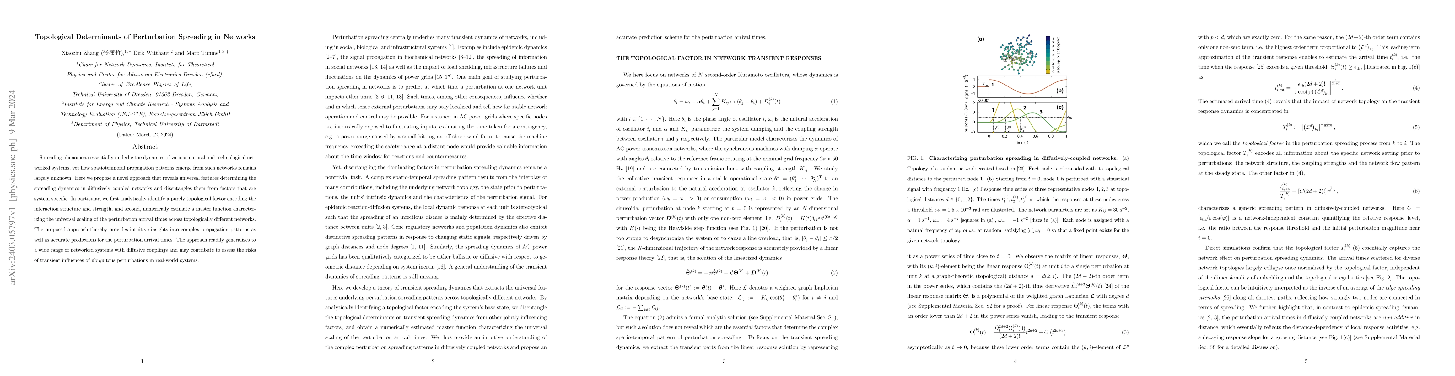 Thumbnail for Topological Determinants of Perturbation Spreading in Networks