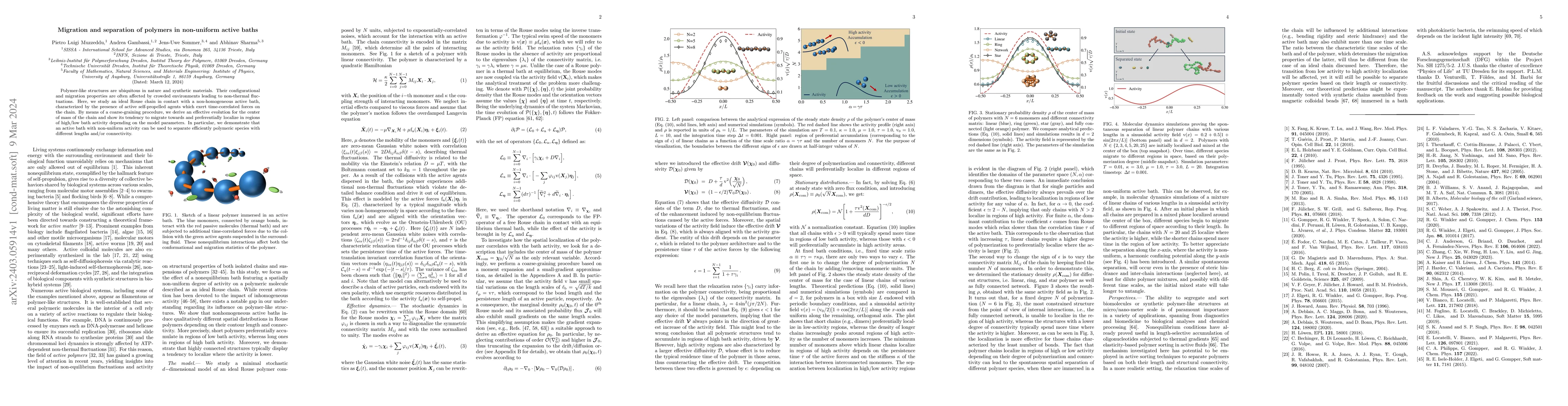 Thumbnail for Migration and separation of polymers in non-uniform active baths