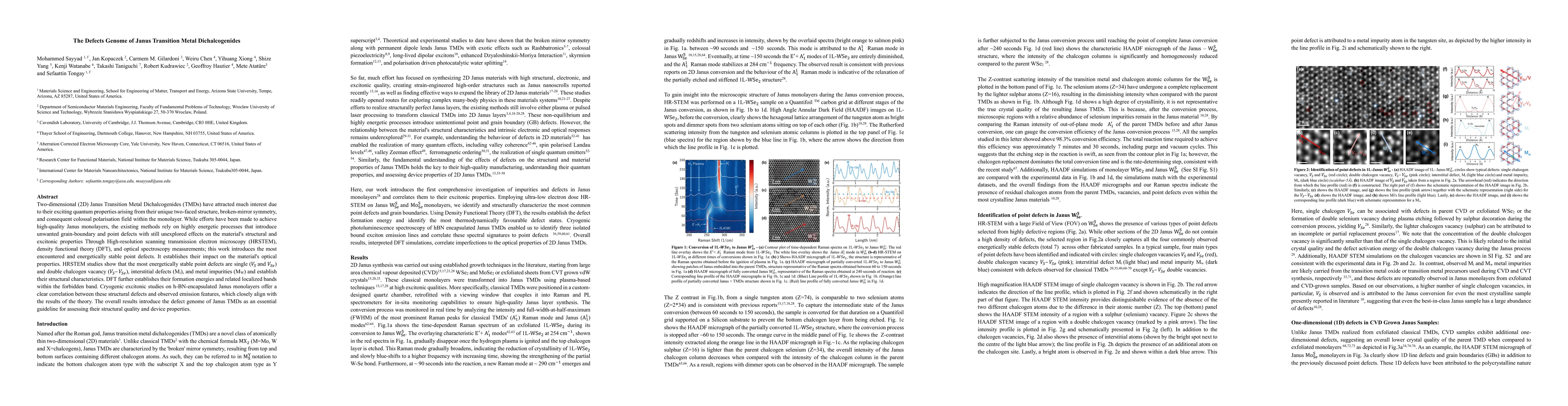 Thumbnail for The Defects Genome of 2D Janus Transition Metal Dichalcogenides