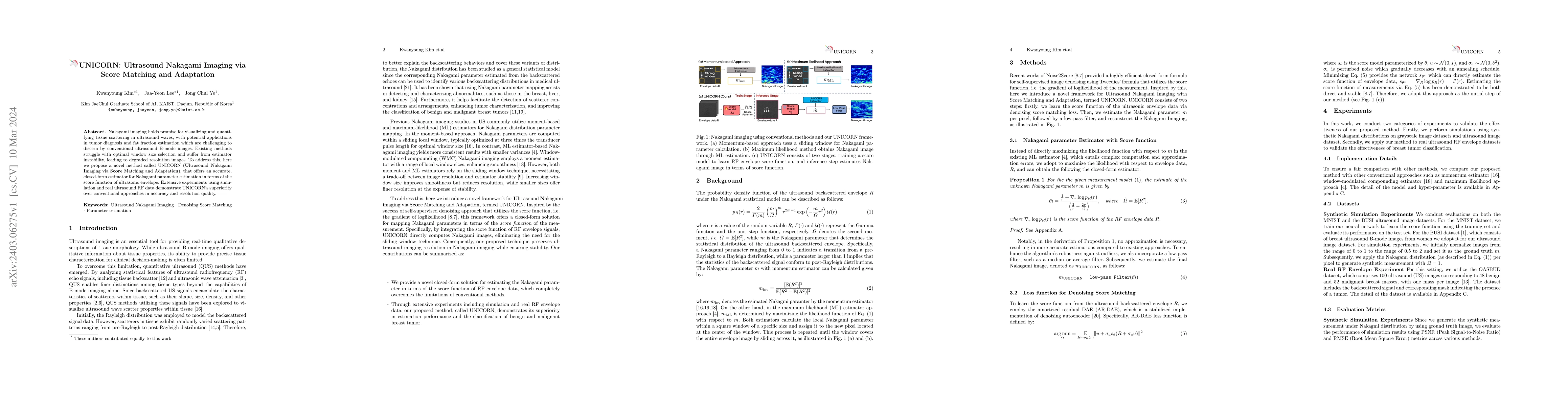 Thumbnail for UNICORN: Ultrasound Nakagami Imaging via Score Matching and Adaptation