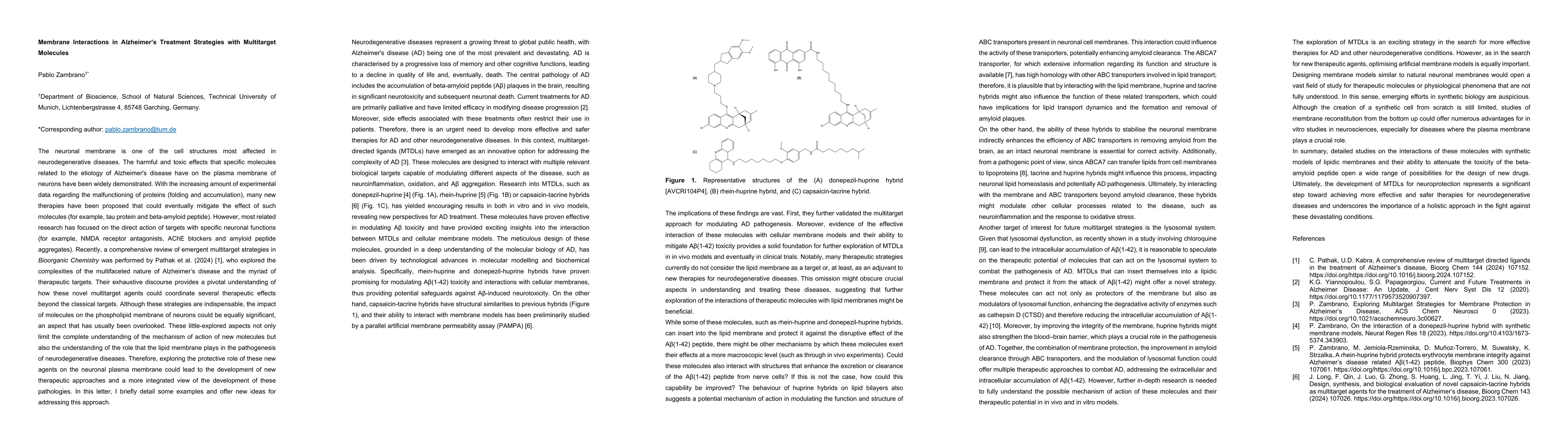 Thumbnail for Membrane Interactions in Alzheimer`s Treatment Strategies with
  Multitarget Molecules