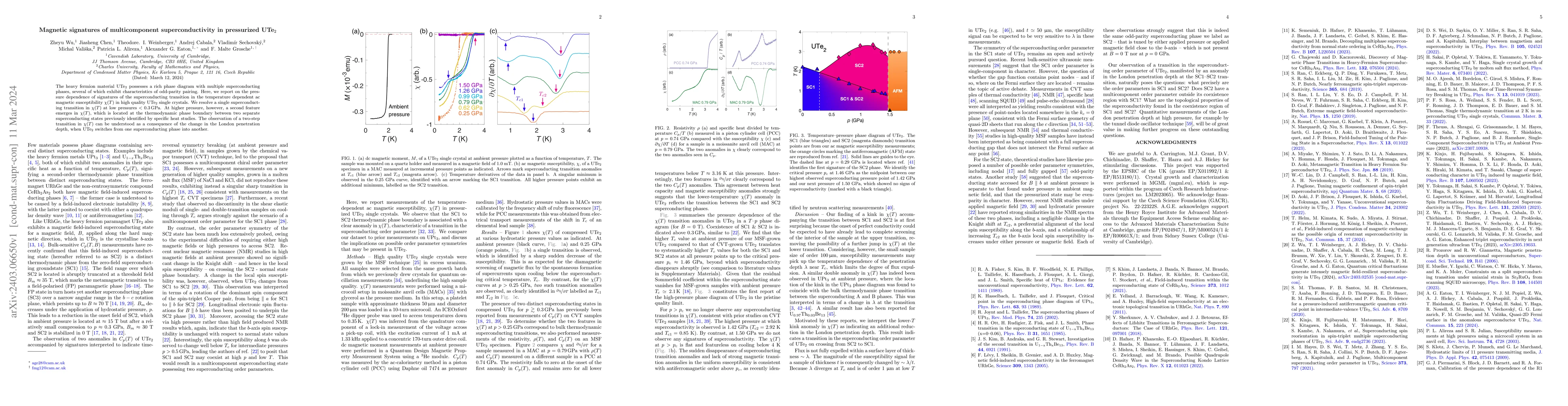 Thumbnail for Magnetic signatures of multicomponent superconductivity in pressurized
  UTe2