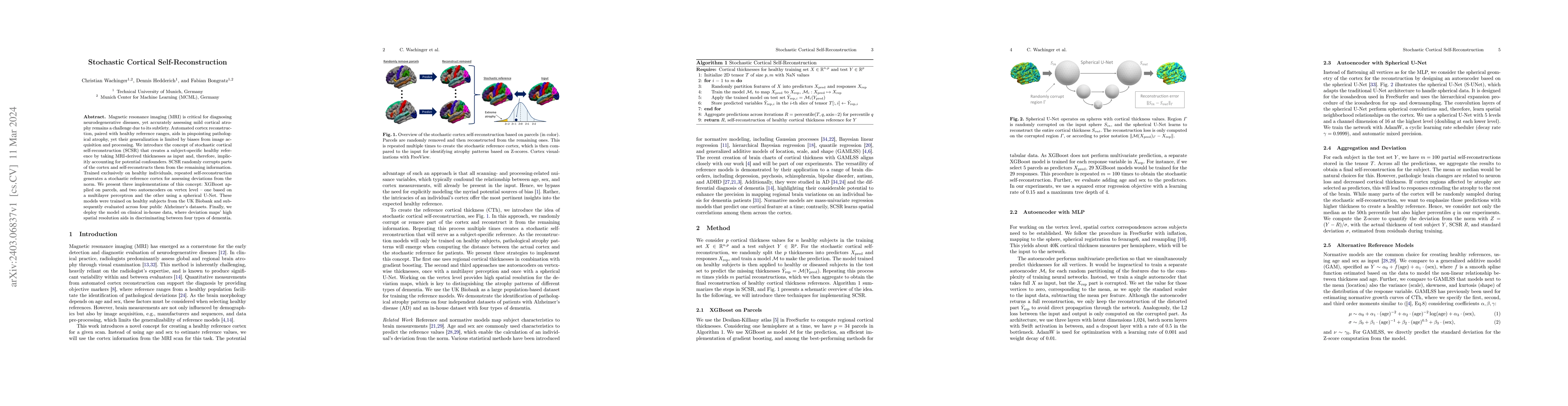 Thumbnail for Stochastic Cortical Self-Reconstruction