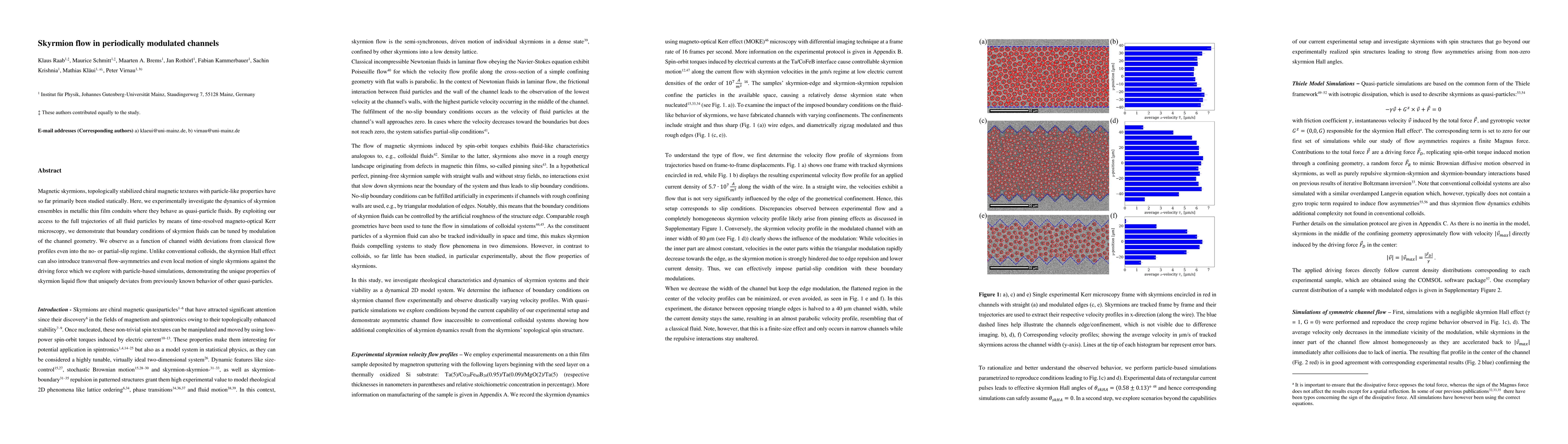 Thumbnail for Skyrmion flow in periodically modulated channels